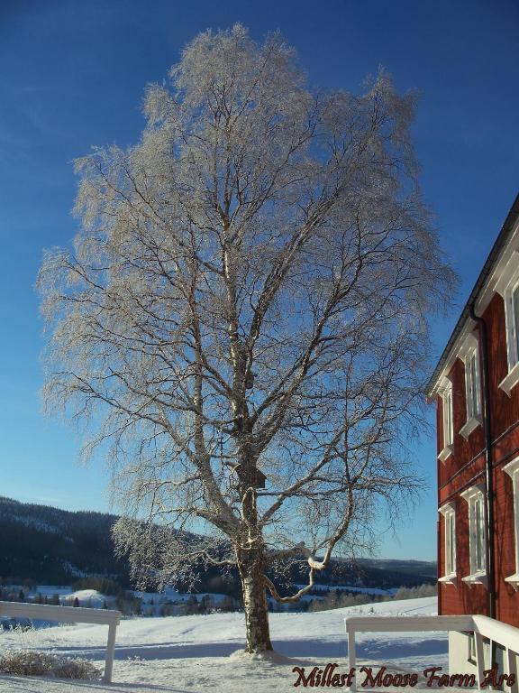 Hotell Millestgarden Eco